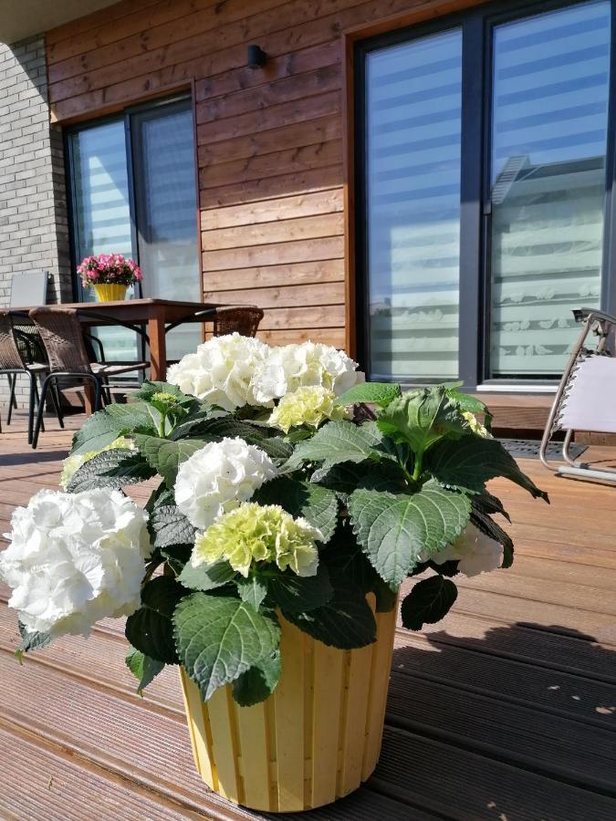 Geltoni Apartamentai 帕兰加 外观 照片