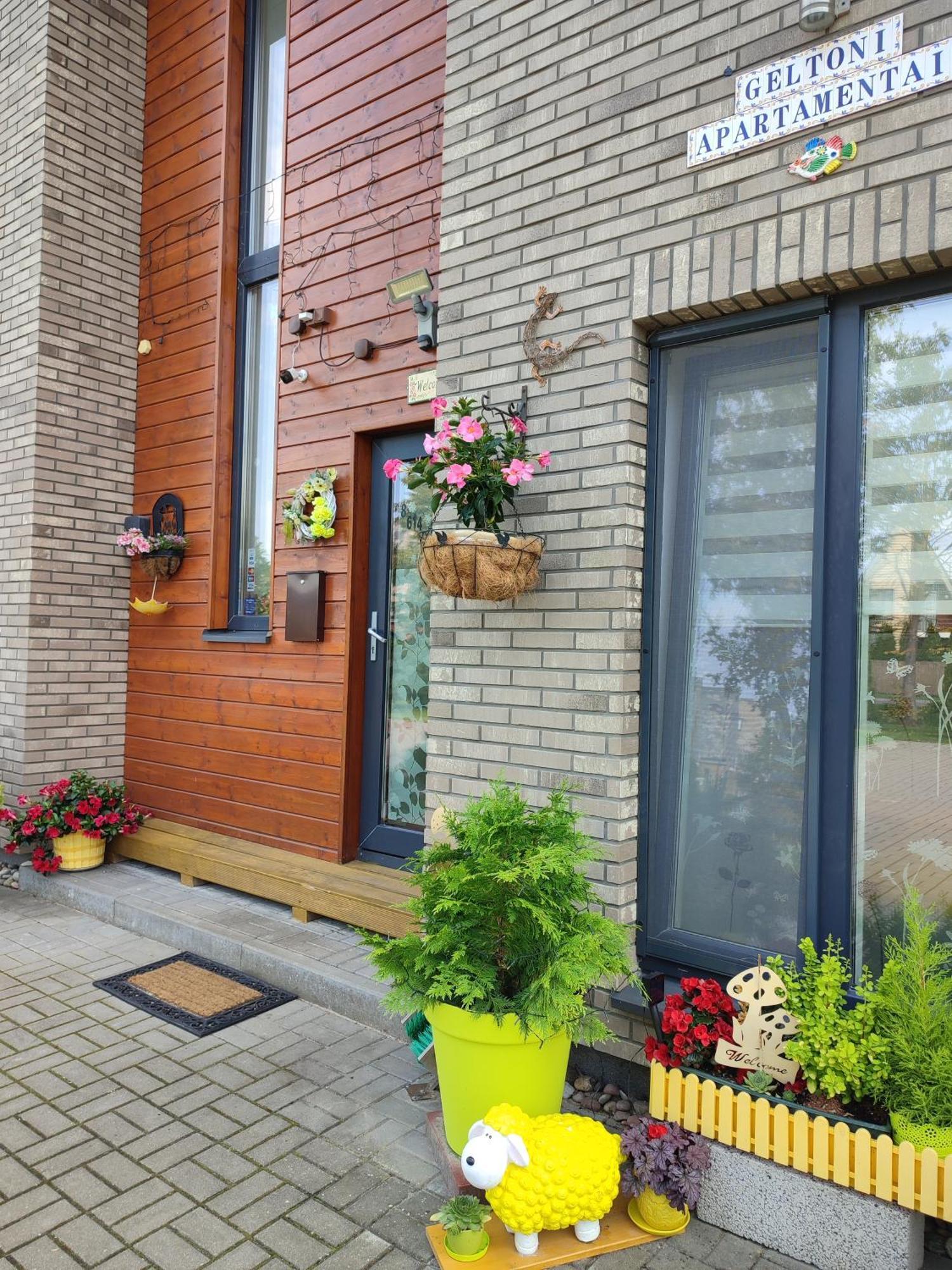 Geltoni Apartamentai 帕兰加 外观 照片